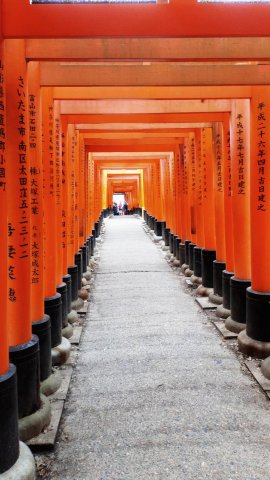 Egy álom valóra vált - Seba Japánban 08